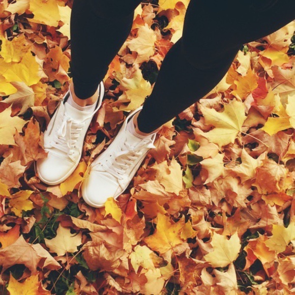 Meet your Posher, Emily - Picture 1 of 2